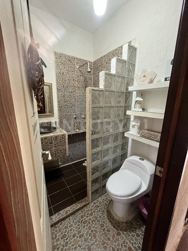 ¡descubre Una Joya Oculta En Palmas 1, Playa Del Carmen!