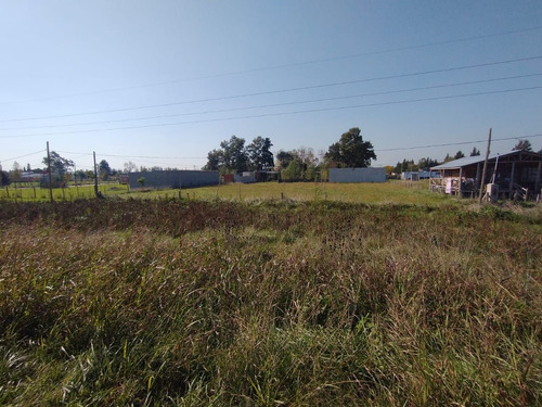 Terreno En Venta En Domselaar Oeste