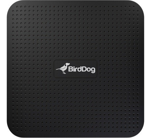 Birddog Play 4k Convertidor/reproductor Ndi 5 A Hdmi 2.0