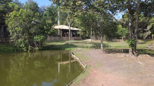 Imagem 8 de 17 de Breve Lançamento Acacias Condomínio Fechado Lotes A Partir De 300m2 12x25 Cadastre-se Antecipe-se Ao Lançamento - Te00065 - 68317406