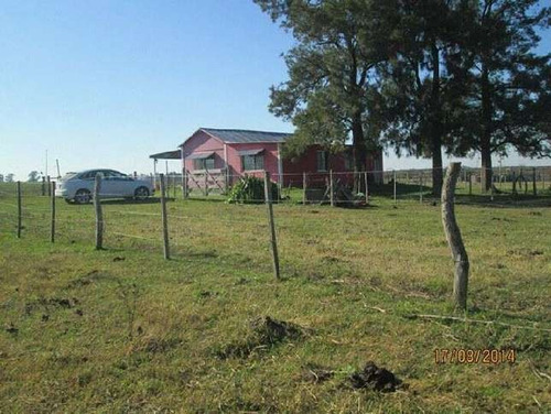 Imagen 2 de 14 de Campo En Venta En Concepcion Del Uruguay