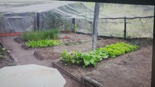 Imagem 9 de 12 de Chácara 27000m2, Casa Sede Com 3 Dormitórios, 2 Banheiros, Casa Hóspedes, Pastos, 2 Lagos, Piscina, Área Gourmet, Campo, Pomar, Horta - Ch00132 - 70009905