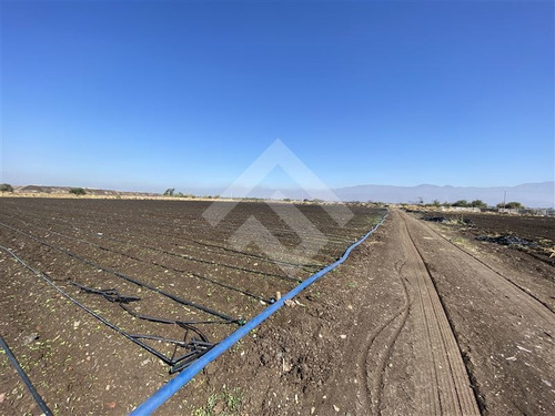 Imagen 10 de 12 de Venta Sitio Lampa Panamericana Norte 11 Hectáreas