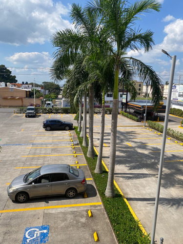 Local En Renta