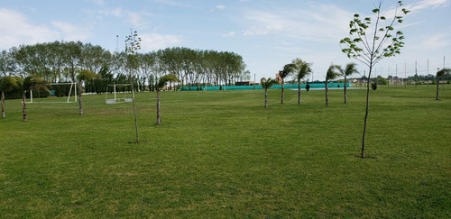 Imagen 9 de 12 de Terreno En Venta En La Alameda
