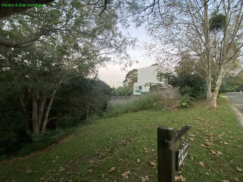 Imagem 5 de 10 de Terreno - Te00078 - 69712272