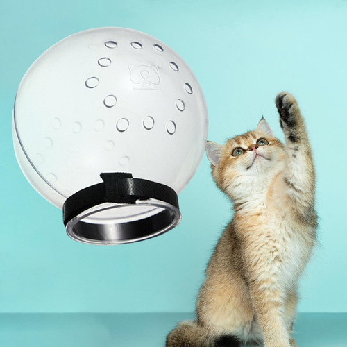 L Máscara De Bozal De Gato Transpirable Anti Mordedura