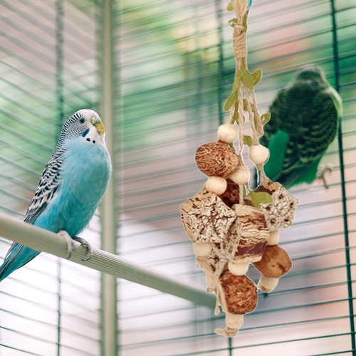 Columpio Para Masticar Con Forma De Pájaro, Loro, Colgado, C