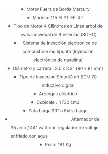 Imagen 14 de 15 de Lancha Geuna F185 Con Mercury 115 4t. Excelente Estado!
