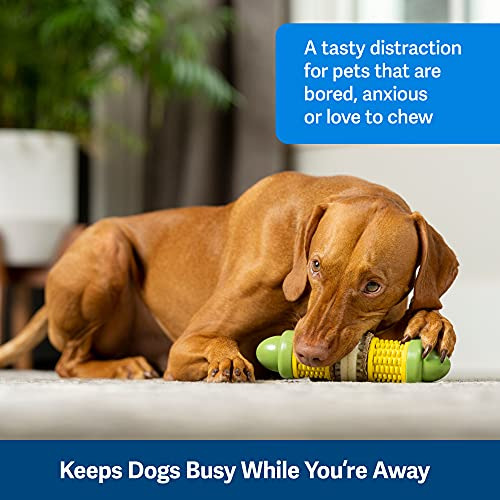 Juguete Perro Cravin Corncob Busy Buddy - Interactivo,