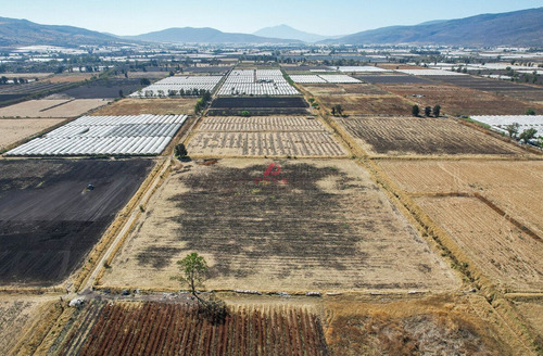 Terreno En Venta Ribera De Chapala, Jalisco