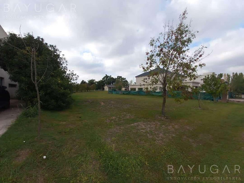 Imagen 5 de 10 de Venta | Excelente Lote Central De 1000 M2 En Campo Grande | Bayugar Negocios Inmobiliarios