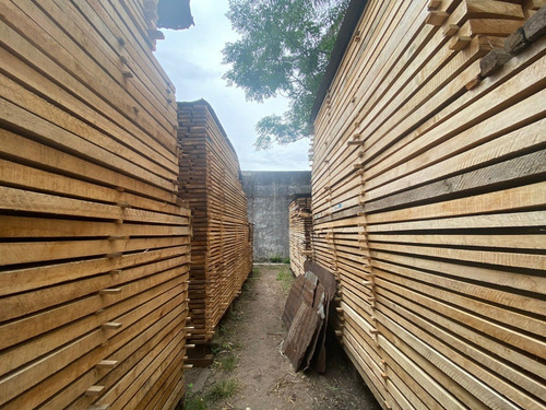 Tablas De Madera De Guindo - El Pindo, Lenga Seco