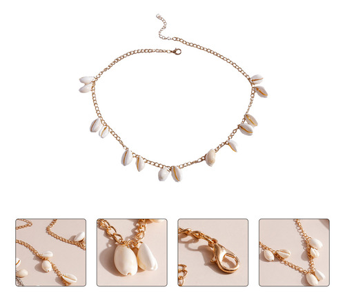 Collar Cowrie Collar Beach Shell The Summer