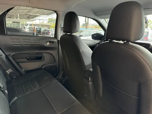 C4 Cactus Shine