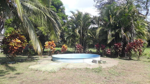 Imagen 10 de 10 de Venta De Granja En Torunos