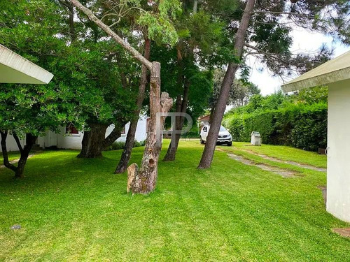 Imagen 3 de 13 de Casa En Venta Punta Del Este 3 Dorm, 1400 M2 #1802