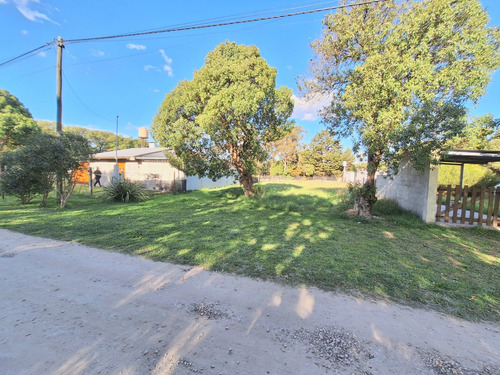Lote En Playa De Los Lobos