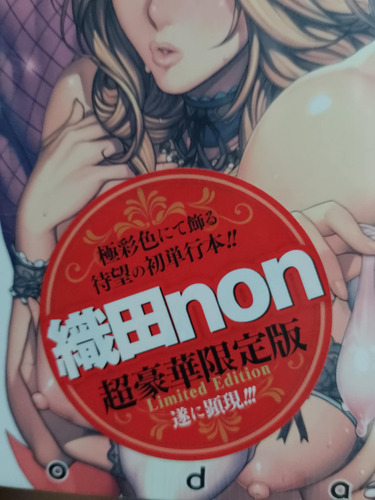 Arte Hentai De Oda Non Libro Sellado A Color (Usado)