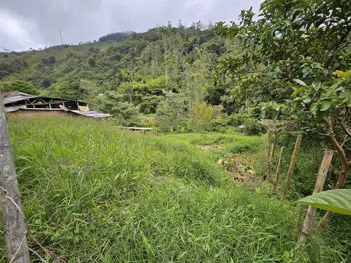 ¡tu Lote En El Campo Te Espera!