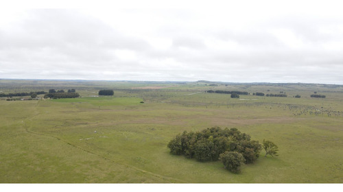 Campo Ganadero En Rocha 350ha (ref: Atm-7301)