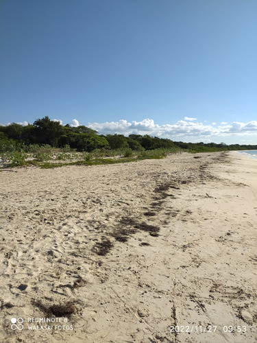 Terreno 69,000 Con 300 Lineales De Playa Perdernales 