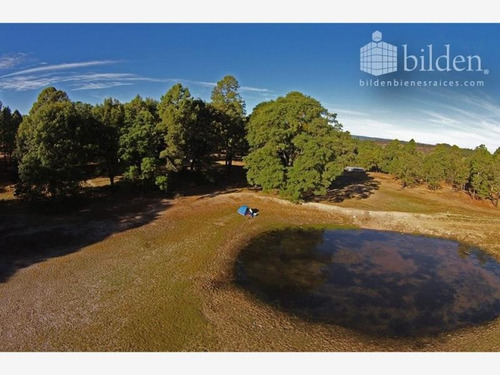 Imagen 7 de 12 de Terreno En Venta Bosques De Llano Grande