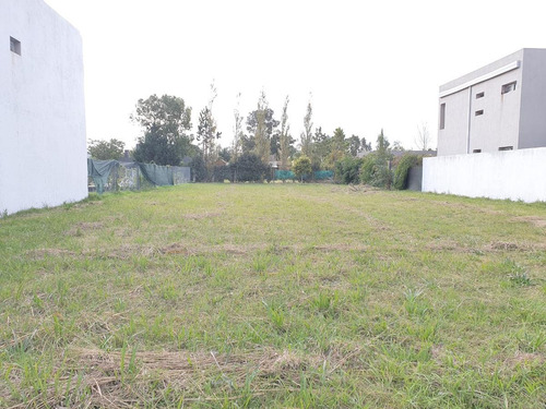 Imagen 2 de 5 de Terreno En Venta Funes Los Morros