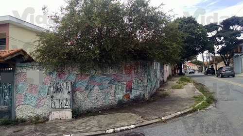 Imagem 4 de 8 de Terreno Para Venda, 250.0m² - 26275