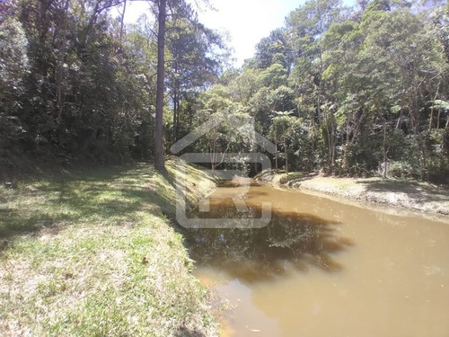 Imagem 27 de 30 de Lindo Sítio Em Juquitiba Com Imenso Lago, Piscina, Nascentes - 92 - 70323419