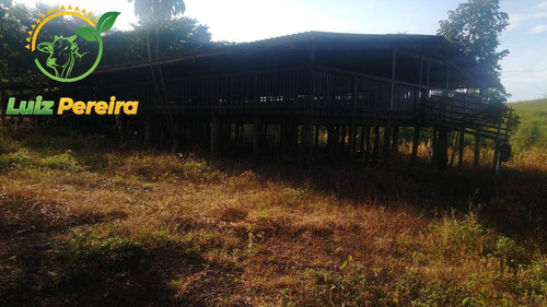 Imagem 9 de 15 de Fazenda À Venda Em Santa Tereza Do Tocantins-to-de 166 Alqueirões(pecuária) - 1692