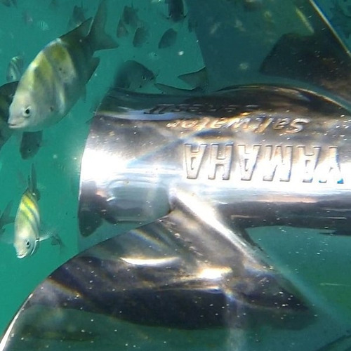 Imagem 7 de 7 de Motor Yamaha Fl 300hp Extra Longa N Mercury Poddium Náutica