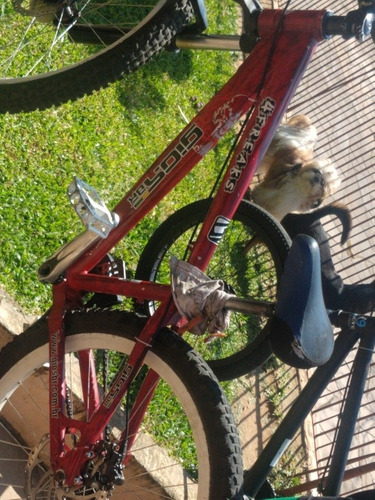 Bicicleta