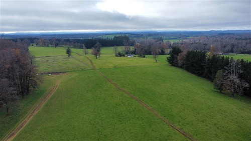 Agrícola En Venta En Paillaco