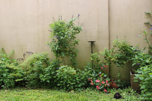 Imagen 8 de 19 de Ph Con Jardin En Florida Mitre/este 3 Ambientes