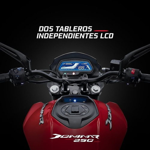Imagen 4 de 9 de Bajaj Dominar 250 - 0 Km - Dominar 250