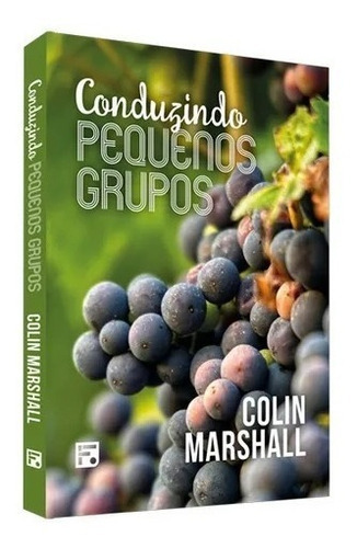 Conduzindo Pequenos Grupos, De Marshall, Colin. Editora Missão Evangélica Literária, Capa Mole Em Português, 2021