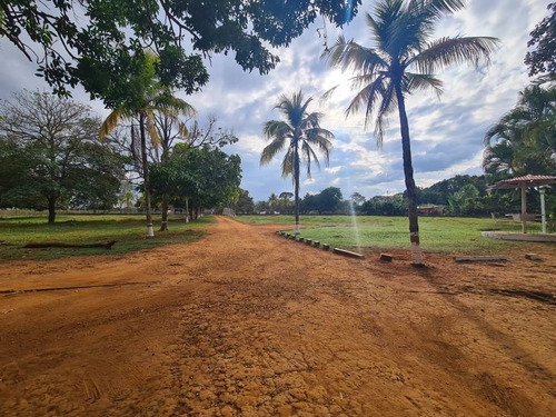 Imagen 13 de 13 de En Venta Finca, En Sabana Del Medio, Barrera