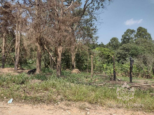 Imagem 3 de 11 de 2.100 M², Belíssimo Terreno Próximo A Rodovia !!