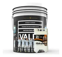 Comprar Pintura Valen Pisos De Cemento 20 Lts + Hidrolaca Daro 5 Lts