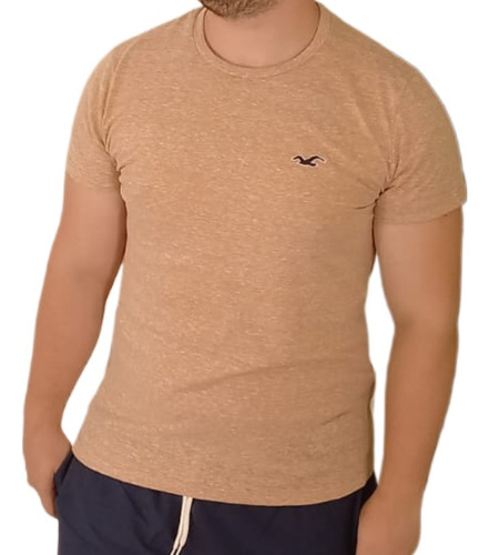 Remera Hollister Jaspeada Hombre Cuello Redondo Importada