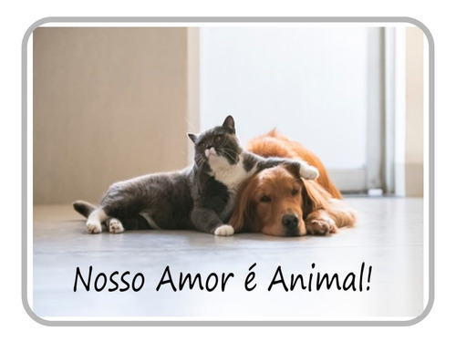 Imagem 3 de 3 de Shampoo Beeps Para Gatos Pet Society Estopinha Hidrata 500ml