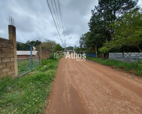 Imagem 4 de 9 de Chácara Com Área De 5.400 M2 - Excelente Localização, À 500m Da Estrada Vicinal De Vargem Do Salto. Em Ibiúna/sp. - Ch00306 - 69892541