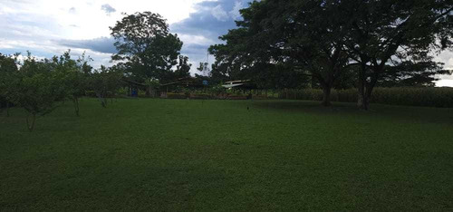 Imagen 8 de 13 de Granja Avícola- Porcina En Barinas Cerca Del Centro