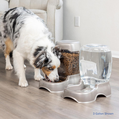 Dispensador De Agua Para Perros Y Gatos Petmate Pet Cafe ...