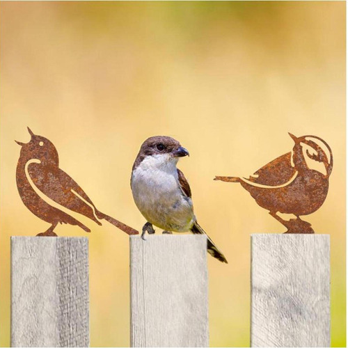 5 Decoraciones De Pájaros Oxidados, Decoración Estilo A