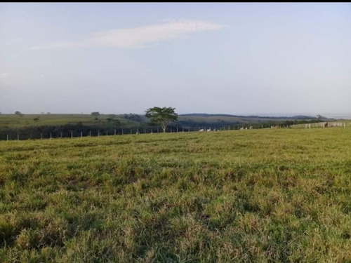 Fazenda À Venda Em Echaporã/sp - Fa00122 - 69026868