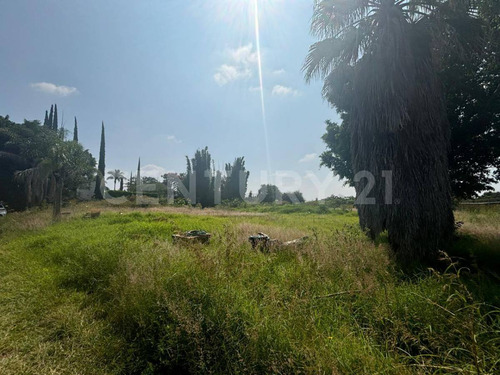 Lote Residencial En Fraccionamiento Los Cipreses, Tenextepec