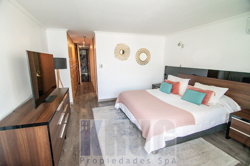 Espectacular Departamento En Providencia