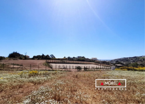 Terreno En Laguna Para Proyecto Inmobiliario